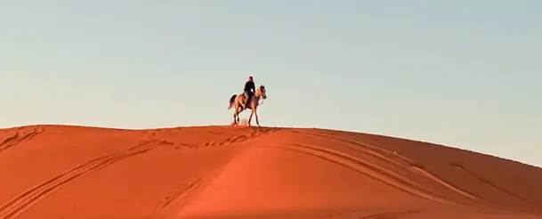 deesert horse tour riyadh img