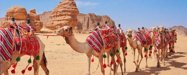 edge of the world tour itinerary img